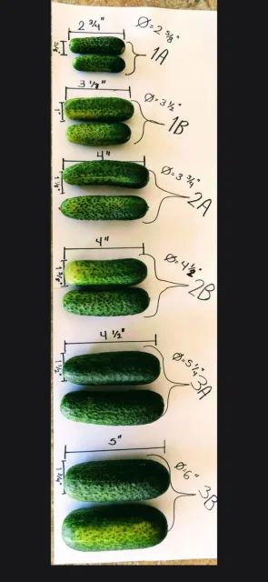Facebook group post image