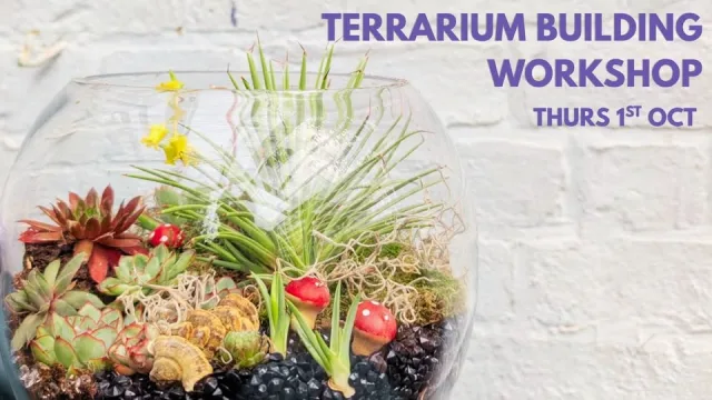 Craft & Cocktail - Terrarium Building poster at The Steamworks