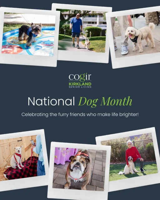 National Dog Month is the perfect time to celebrate the four-legged friends who bring joy, connection, and plenty of smiles to Cogir communities. 🐶
