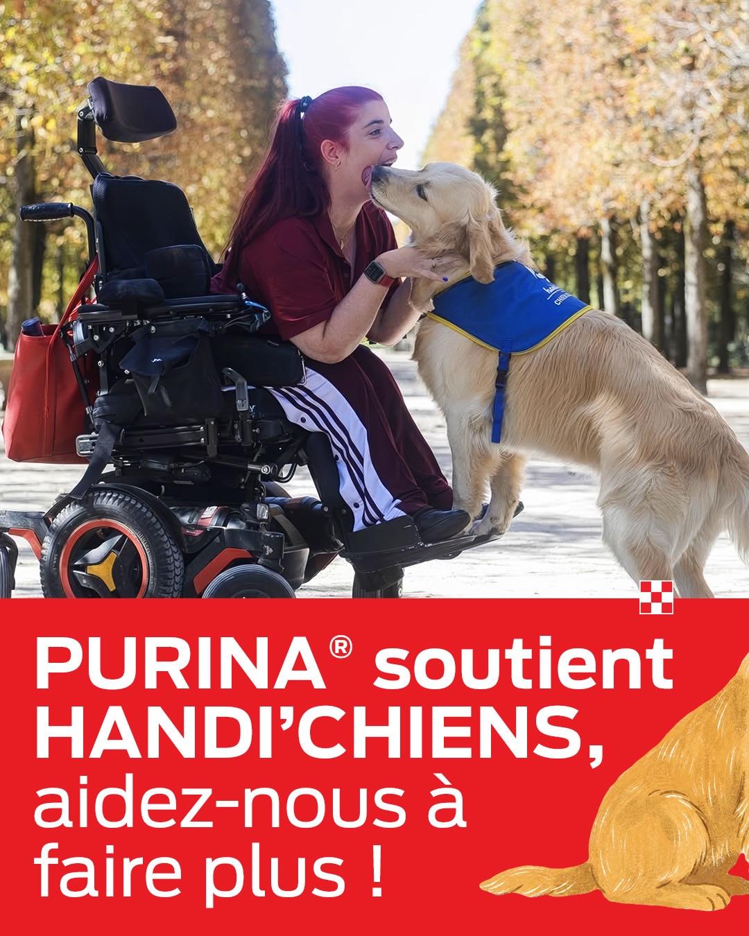 Handi'Chiens