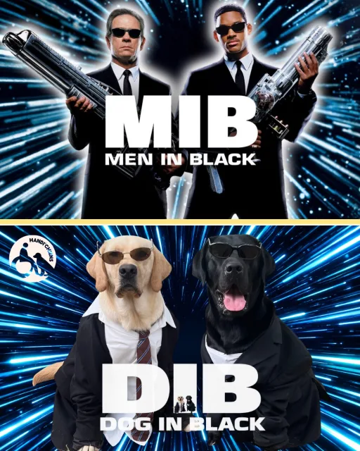 Handi'Chiens