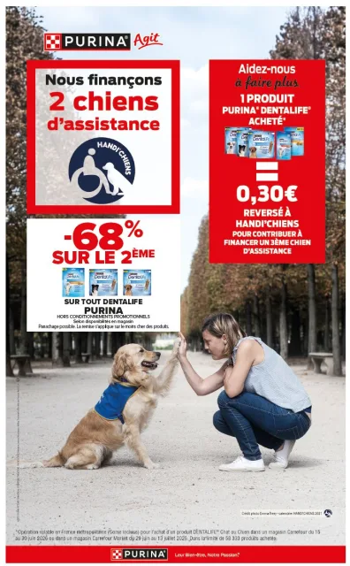 Handi'Chiens