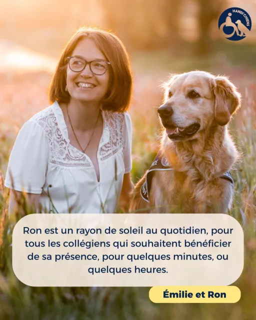 Handi'Chiens