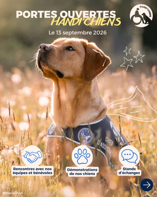 Handi'Chiens
