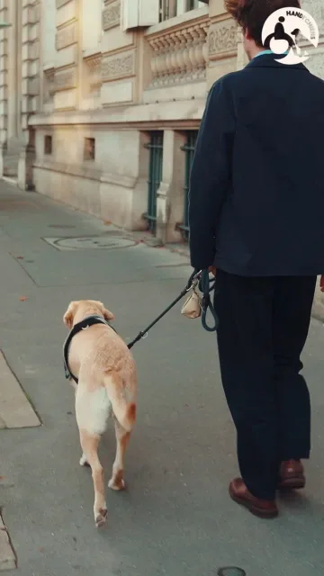 Handi'Chiens