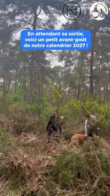 Handi'Chiens