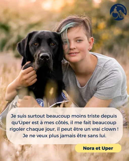 Handi'Chiens