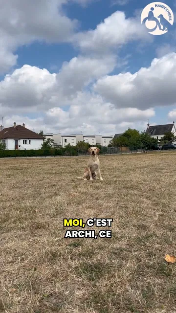 Handi'Chiens